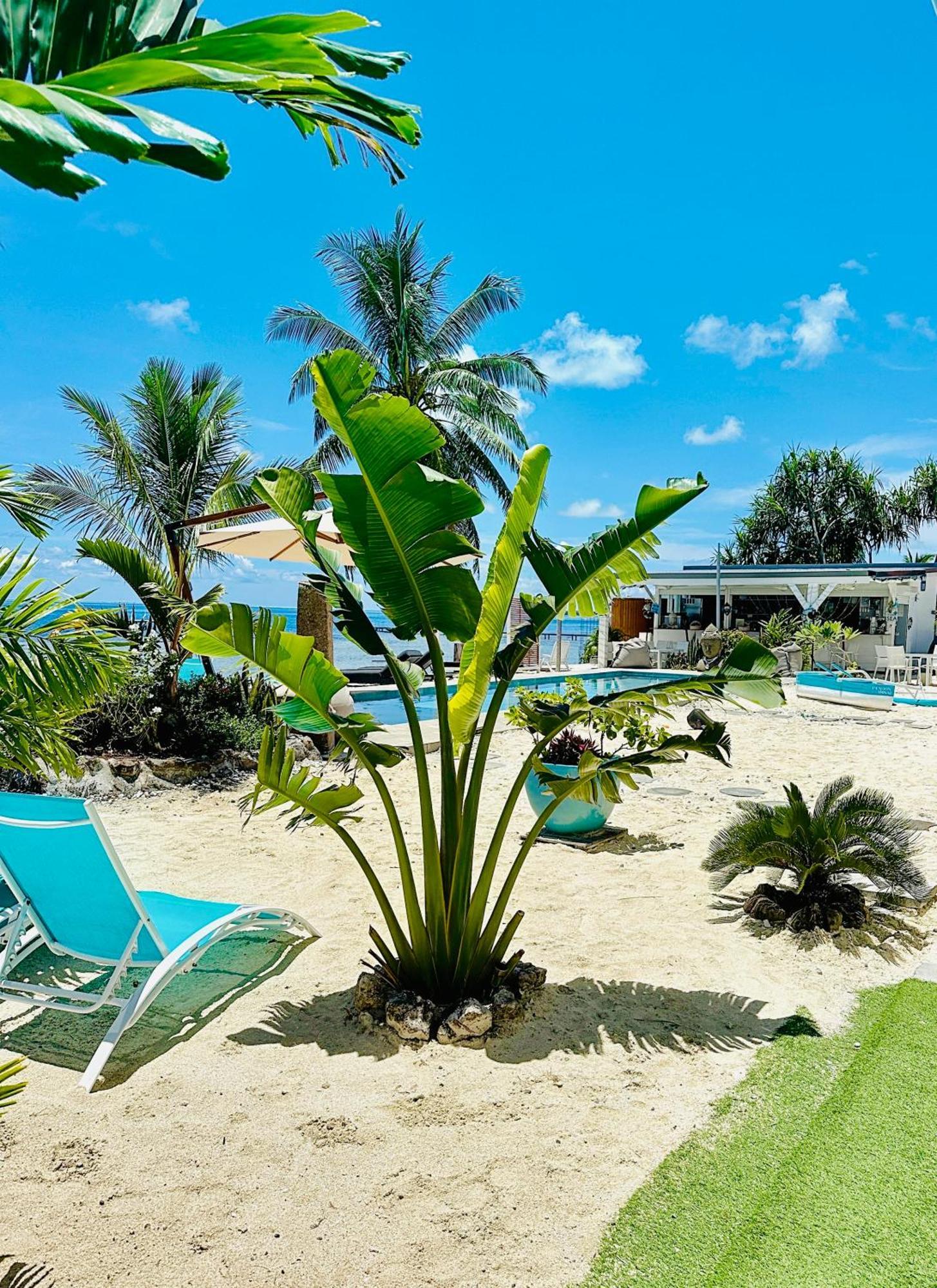 Pension Irivai Appartement Puatou 1 Chambre Bord De Mer Uturoa Kültér fotó